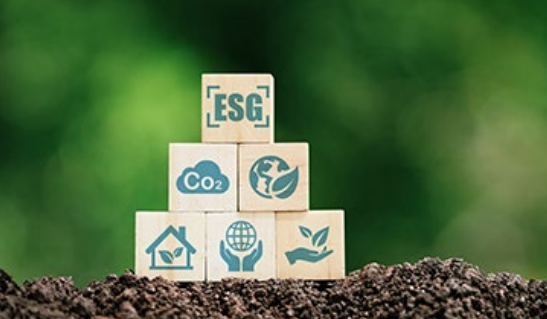 Mapping ESG report: first step towards harmonisation and standardisation in  the ESG landscape